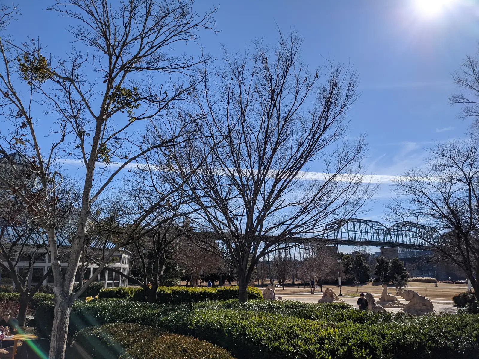 Coolidge Park on Chattanooga's North Shore with bare winter trees, the carved stone animal sculptures, and the blue Walnut Street Bridge in the background