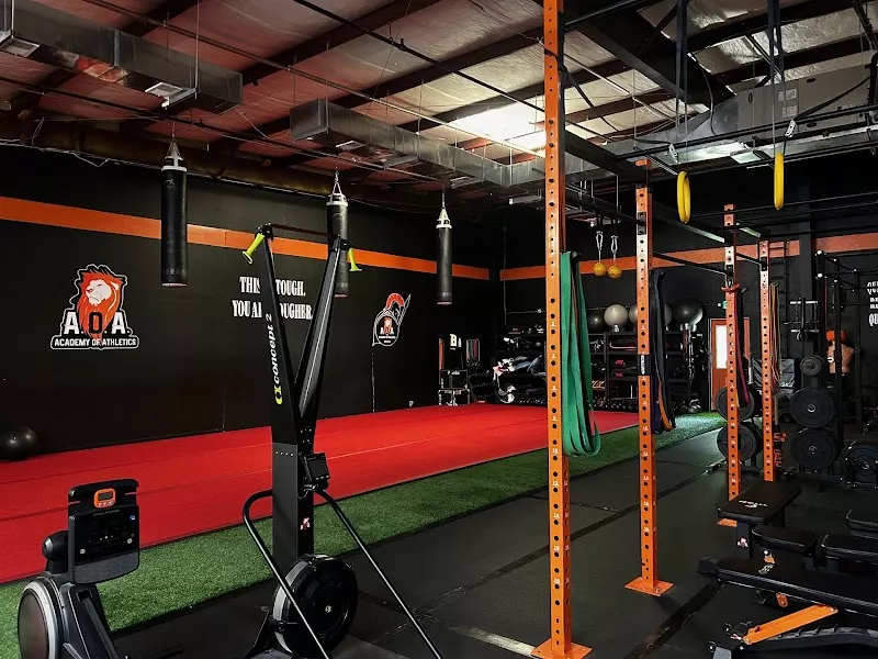 Academy of Athletics (AOA)