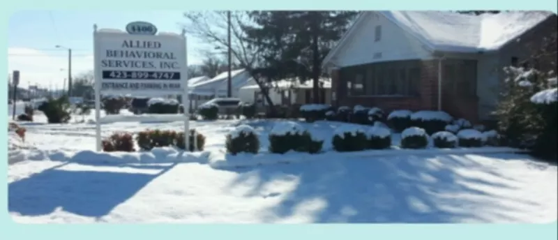 Allied Behavioral Services Inc