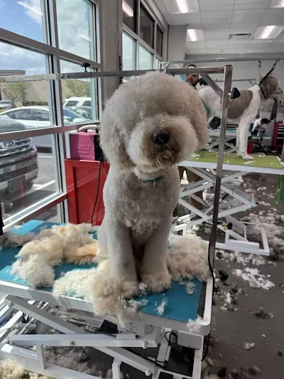 Aqua Dog Grooming Etc.