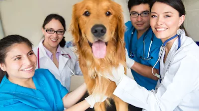 Ashland Terrace Animal Hospital