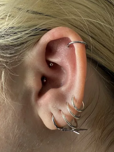 Beauty Is Pain Piercing Studio