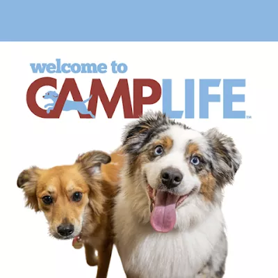 Camp Bow Wow Chattanooga