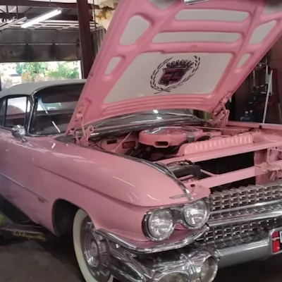 Candy Executives, LLC