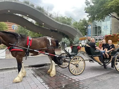 Chattanooga Carriage Company