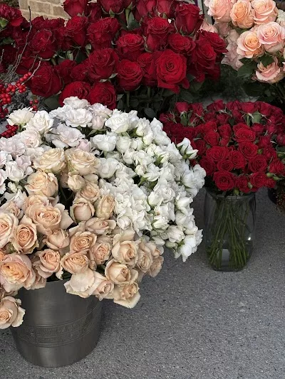 Chattanooga Premium Flowers