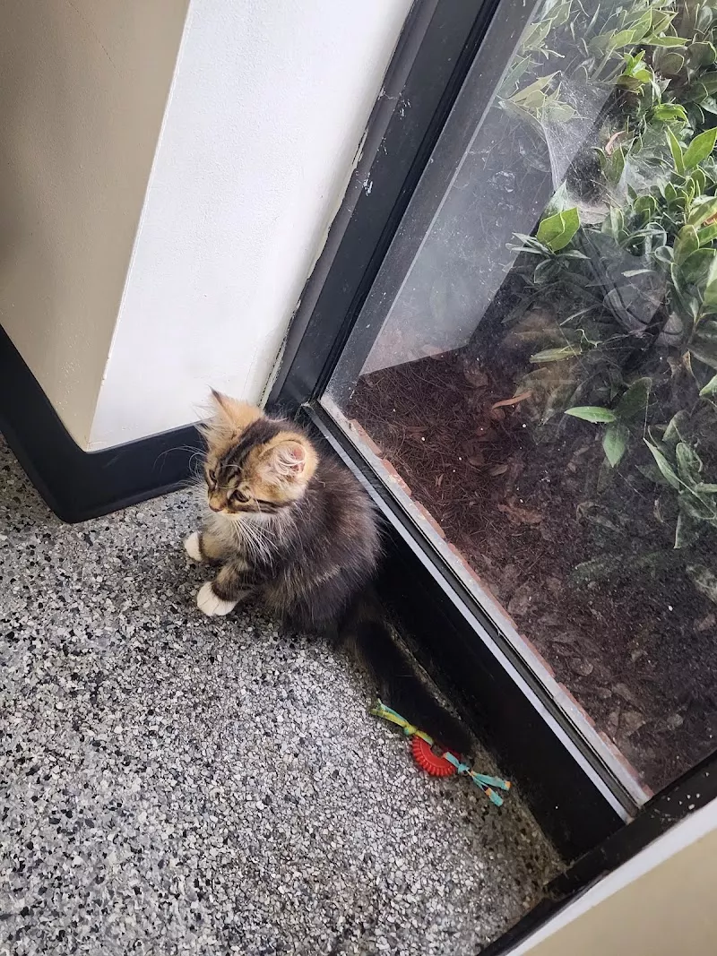 Chickamauga Veterinary Clinic