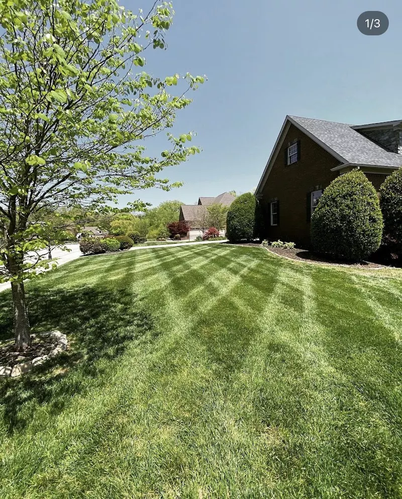 Cortez Lawn Care Services