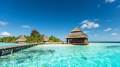 Cruise Planners - American Express Qualified Travel Insider