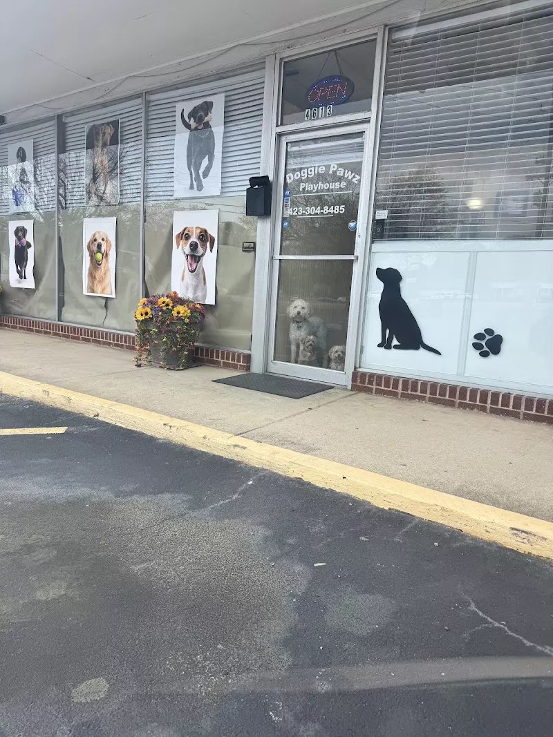 Doggie Pawz Playhouse