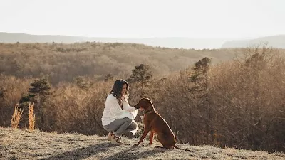 Evergreen Therapy