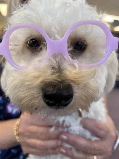 Eyear Optical - Shallowford