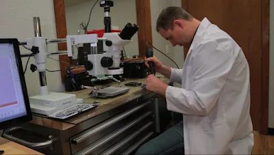 File Savers Data Recovery