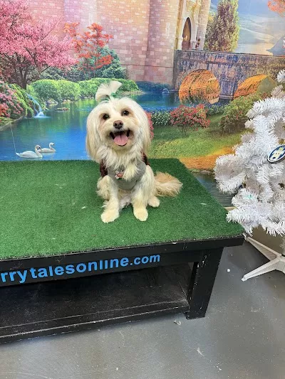 Furry Tales Boarding, Indoor Daycare, and Grooming