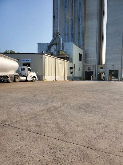 Koch Foods Inc