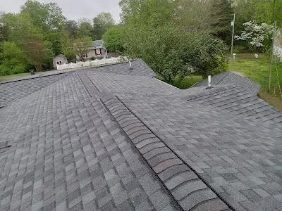 Lee Roofing
