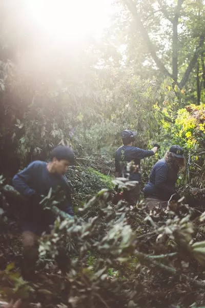 Legrand's Lawn Care & Landscape