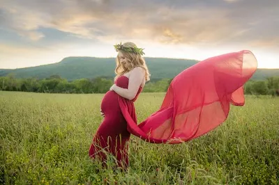 Life with a View Studio