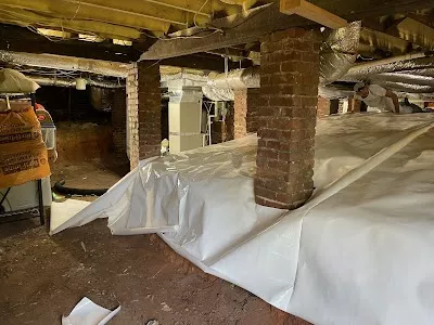 Lookout Pest Control