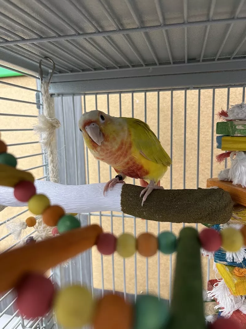 Pet Supplies Plus Chattanooga Grooming