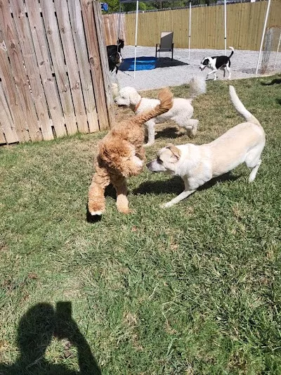 PetQuest Spa & Hotel