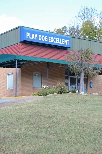 Play Dog Excellent