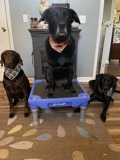 Practical Canine Coaching