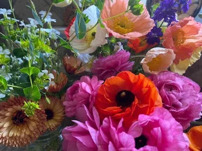 Raccoon Mountain Blooms/Flower Farm & Florist