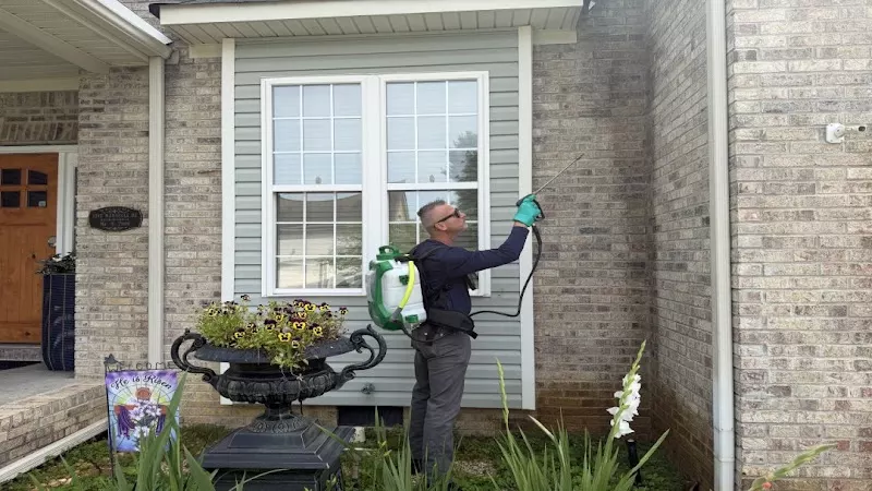 Rapid Response Pest Solutions