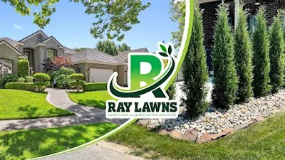 Ray Lawns
