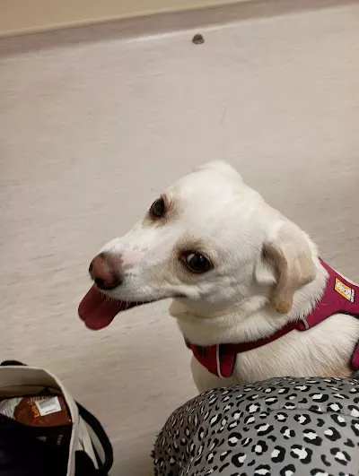 Red Bank Animal Hospital