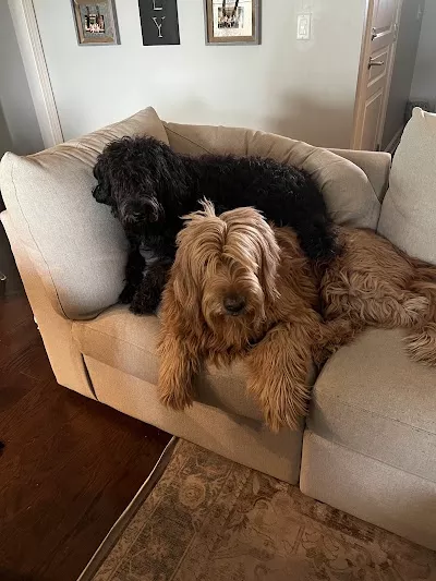 Ruff Cuts Pet Grooming