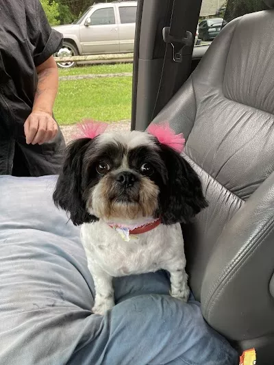 Something To Bark About Pet Grooming