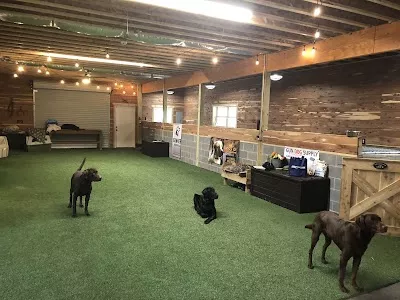 Southern Pro Kennel