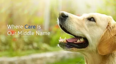 The Animal Care Center of Ooltewah