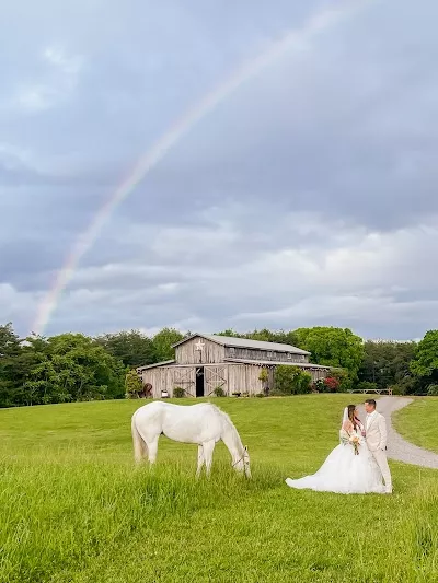 The Barn at Drewia Hill Wedding Venue