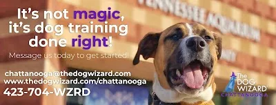 The Dog Wizard Chattanooga
