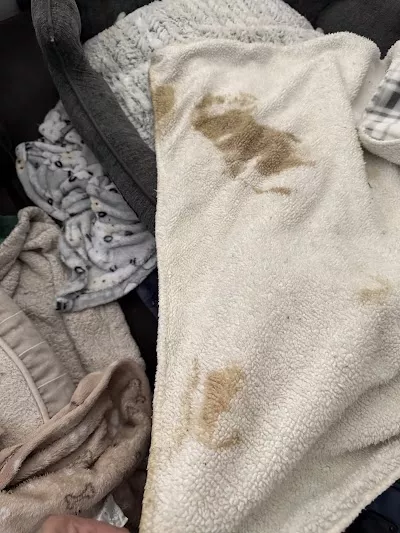 The Inn at Wolftever Pet Boarding, Grooming, & Daycare