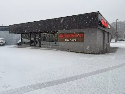 Trey Nelms - State Farm Insurance Agent