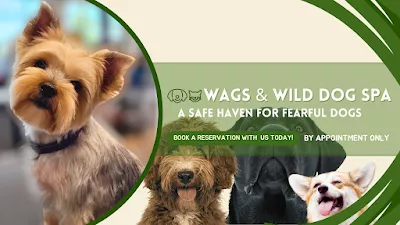 Wags & Wild Dog Spa