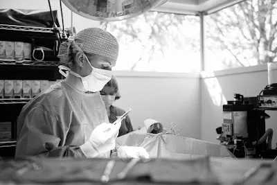 Wellspring Veterinary Care