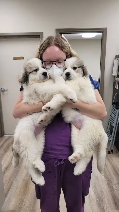 Wolftever Pet Wellness Group | East Hamilton